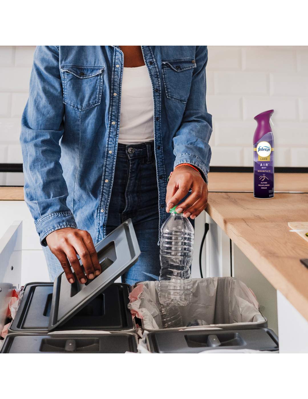FEBREZE Febreze Luxe Air Mist Mountain; image 5 of 8