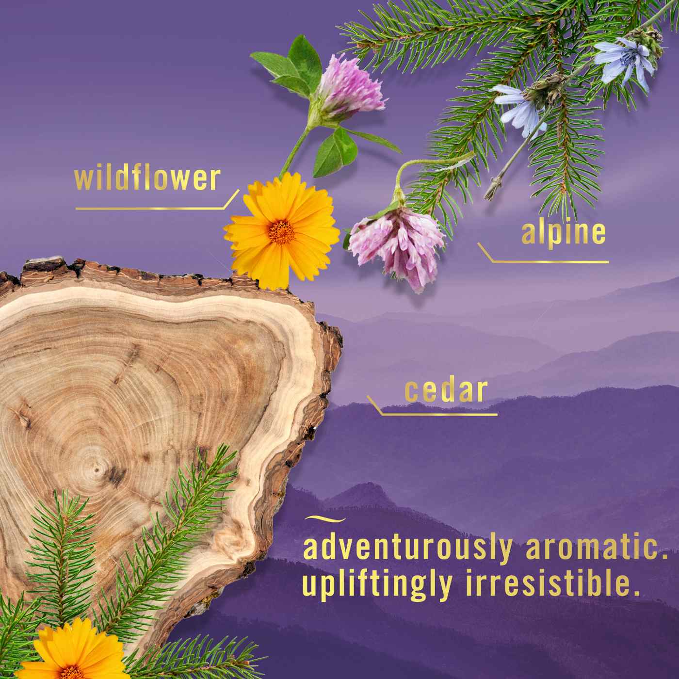 Febreze Car Vent Clip Air Fresheners - Mountain; image 4 of 10