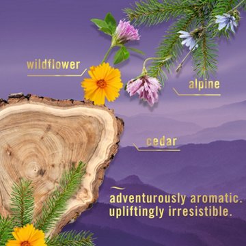 Febreze Car Vent Clip Air Fresheners - Mountain, 2 pk