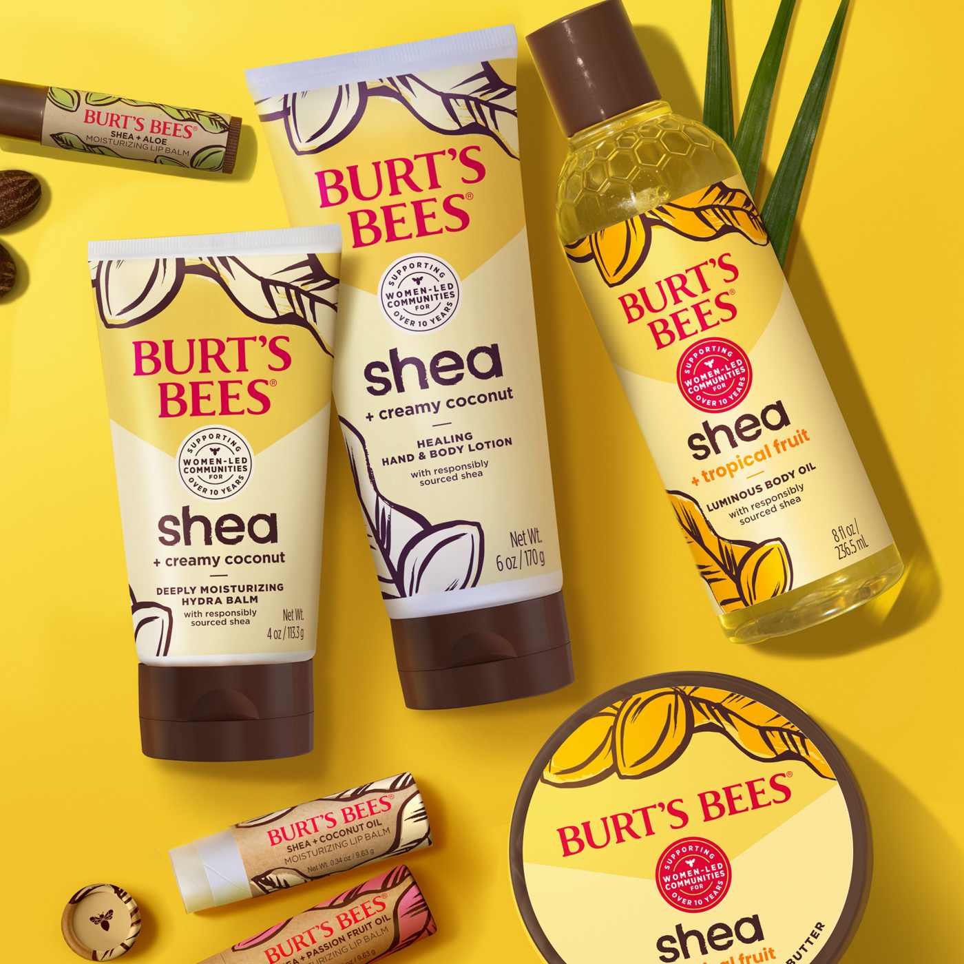 Burt's Bees Shea + Coconut Oil Moisturizing Lip Balm; image 7 of 8