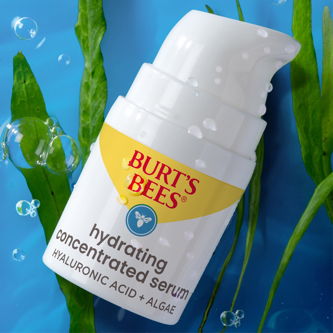 Burt's Bees Concentrated Hydrating Facial Serum - Hyaluronic Acid + Algae; image 7 of 7