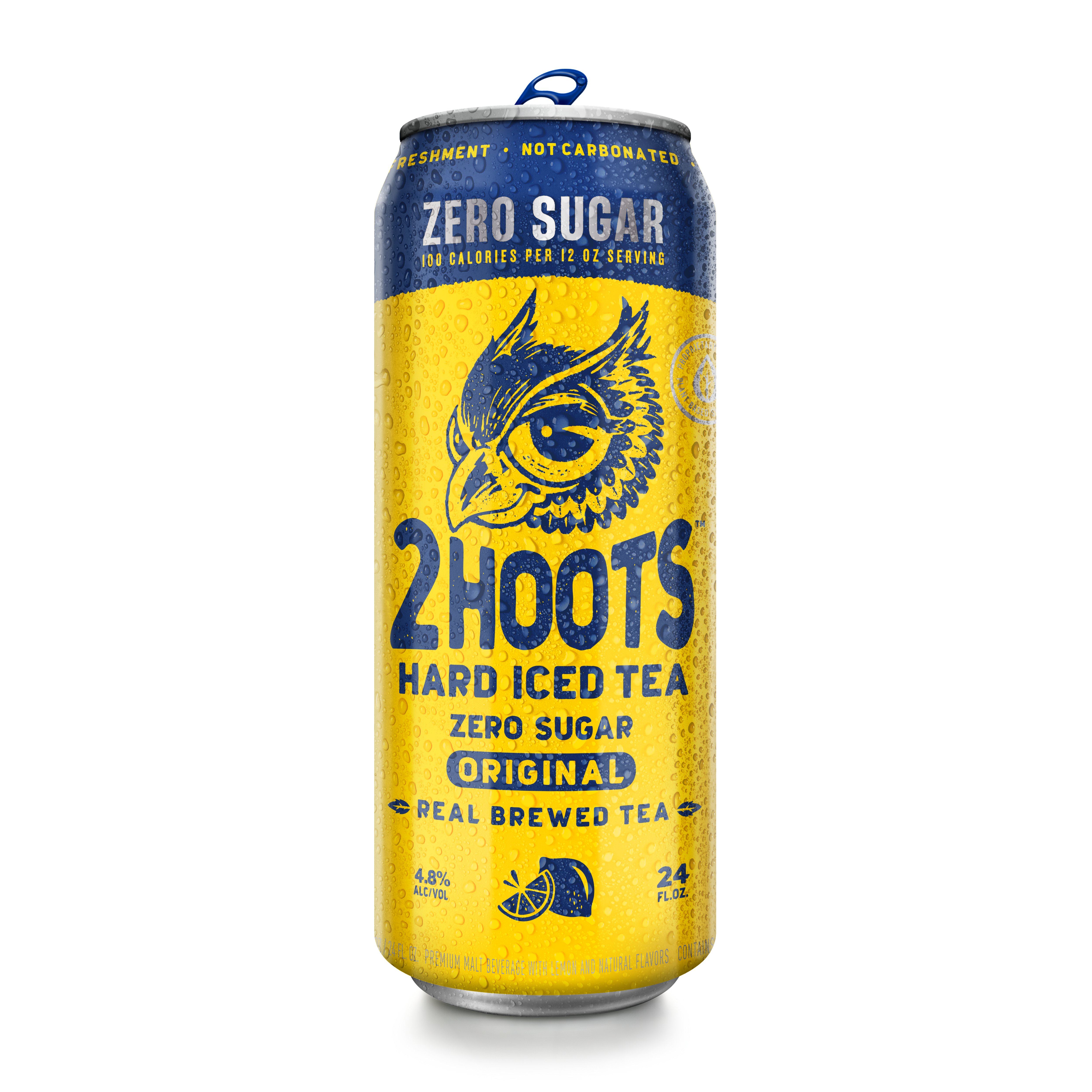 2 Hoots Hard Iced Tea Zero Sugar Original Shop Malt beverages
