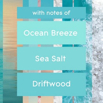 Glade PlugIns Scented Oil Air Freshener Refills - Sky & Sea Salt