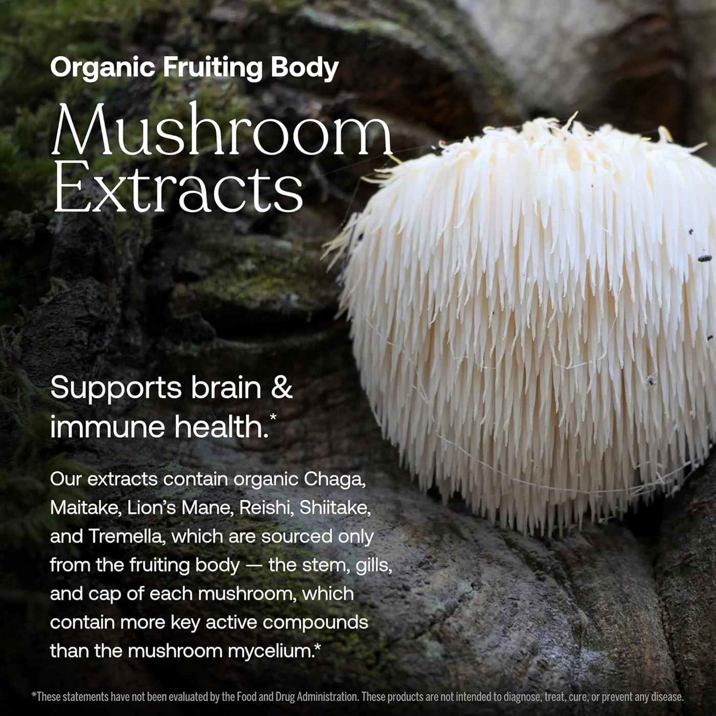 True Grace One Daily Women's Multivitamin Vegan Tablets; image 3 of 6