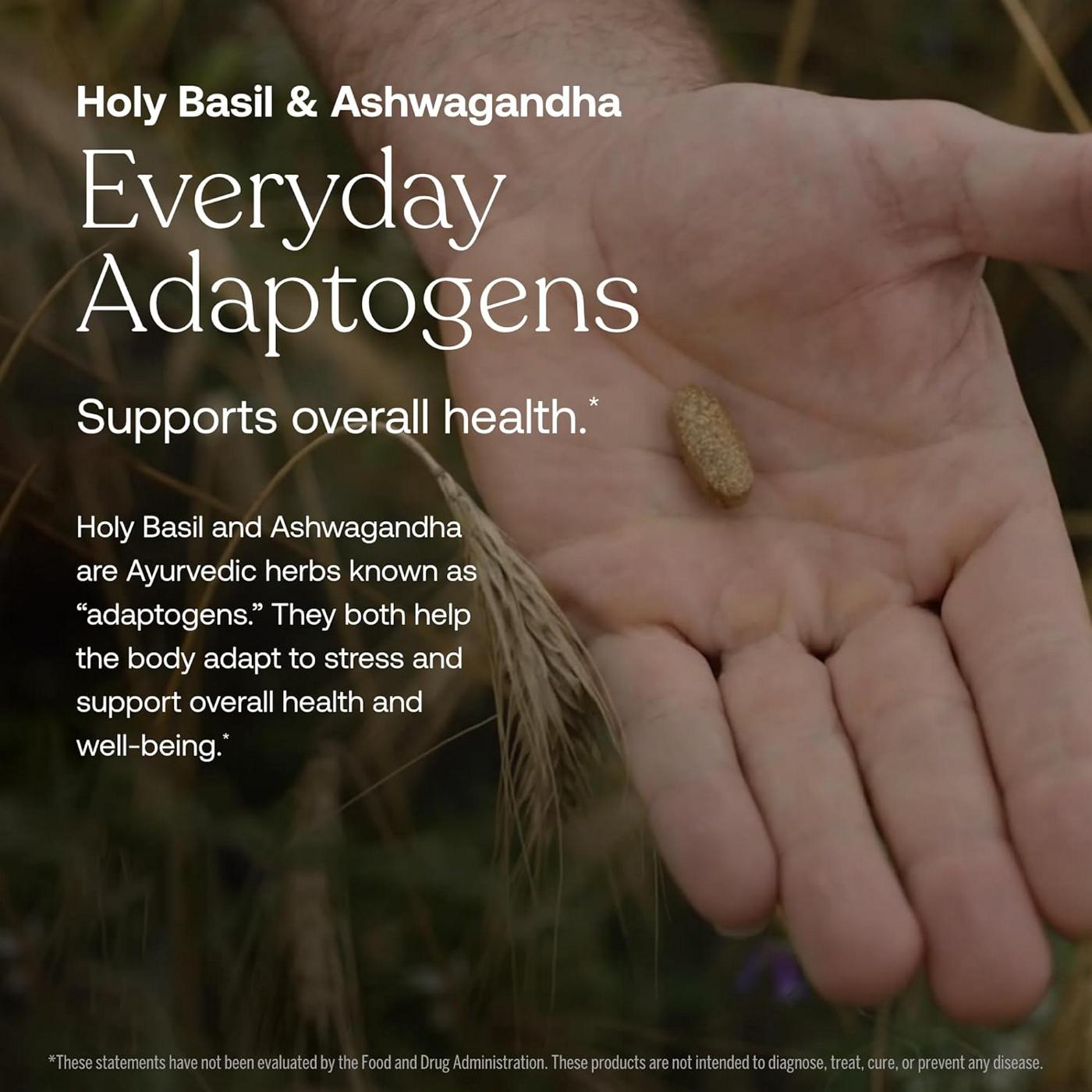 True Grace One Daily Men's Multivitamin 40+ Vegan Tablets; image 4 of 6