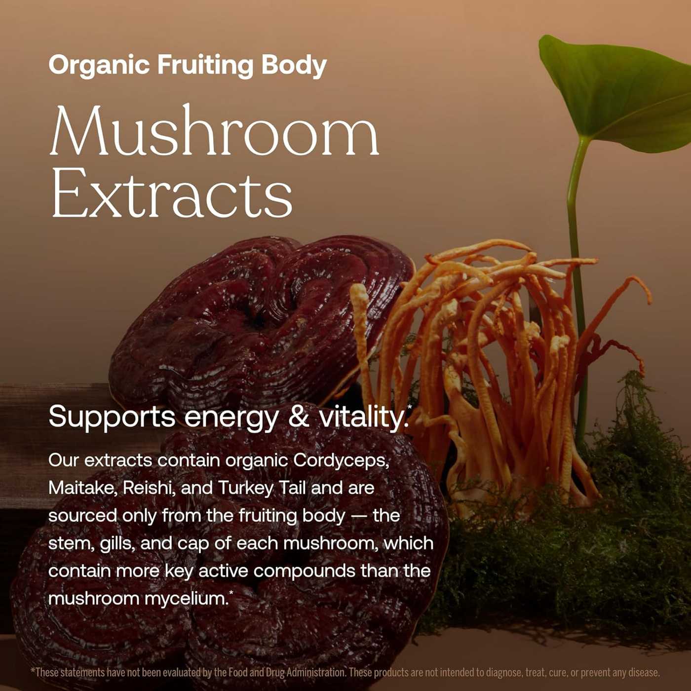 True Grace One Daily Men's Multivitamin Vegan Tablets; image 4 of 7