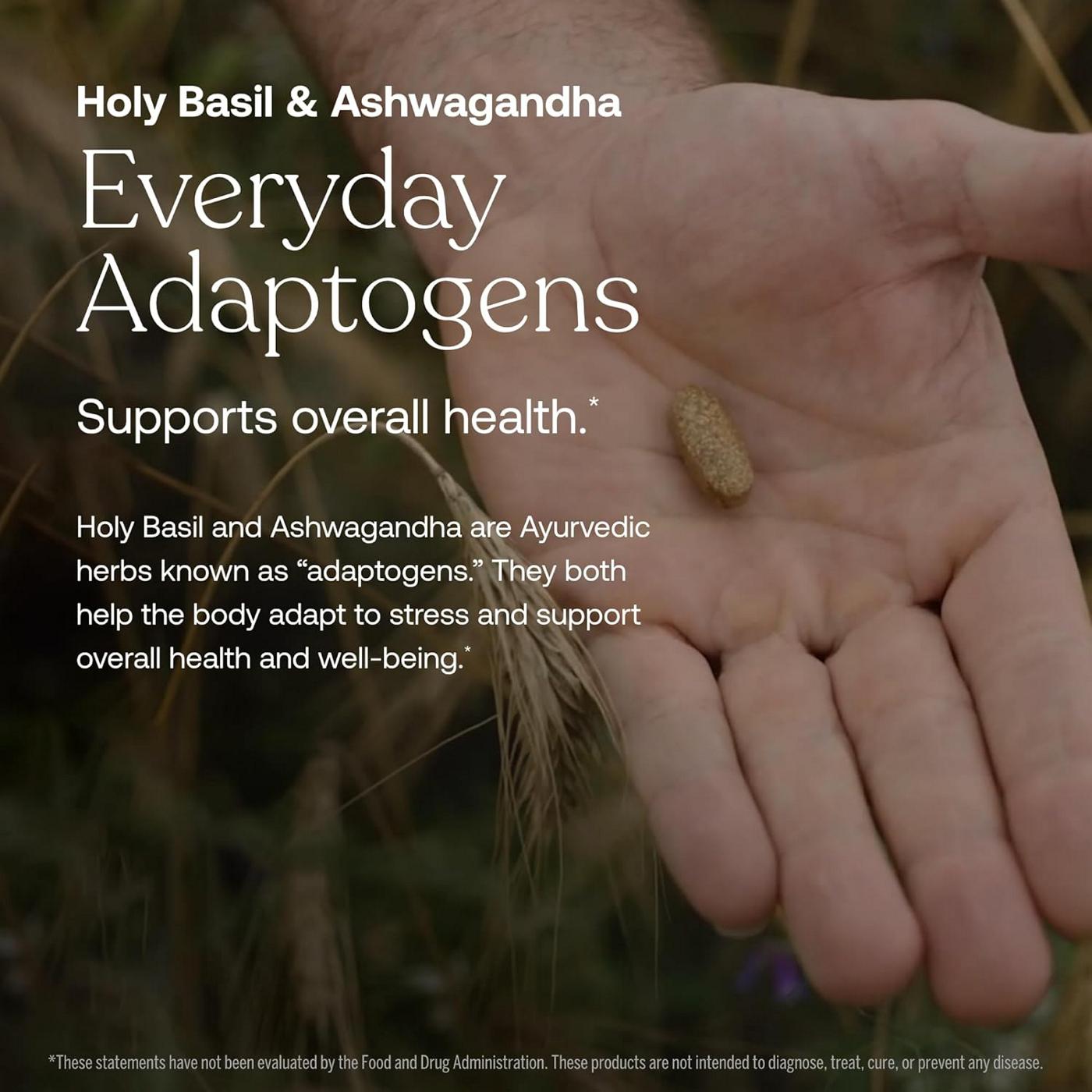 True Grace One Daily Men's Multivitamin Vegan Tablets; image 6 of 7