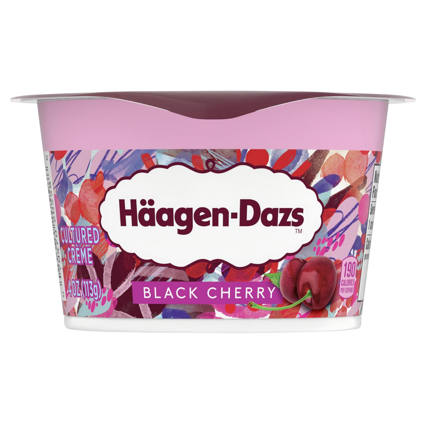 Haagen-Dazs Cultured Crème Yogurt Style Snack – Black Cherry; image 1 of 4