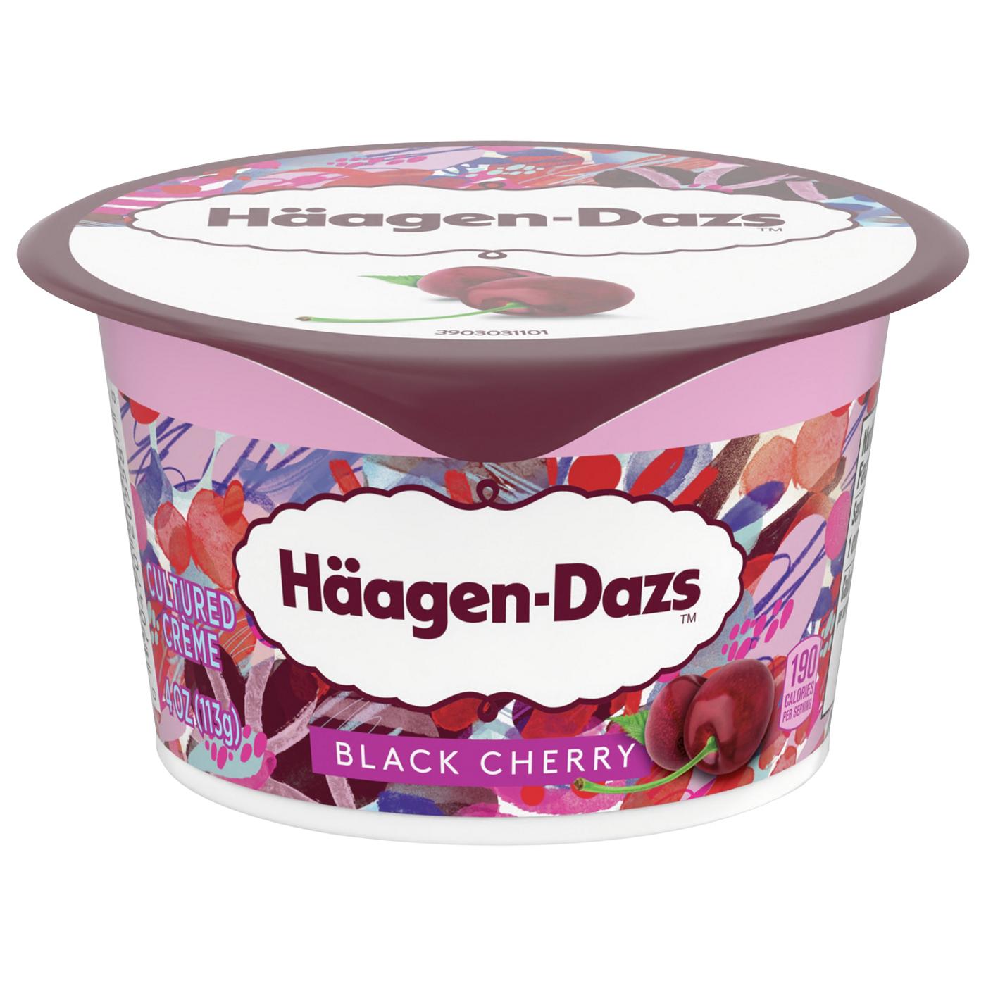 Haagen-Dazs Cultured Crème Yogurt Style Snack – Black Cherry; image 4 of 4