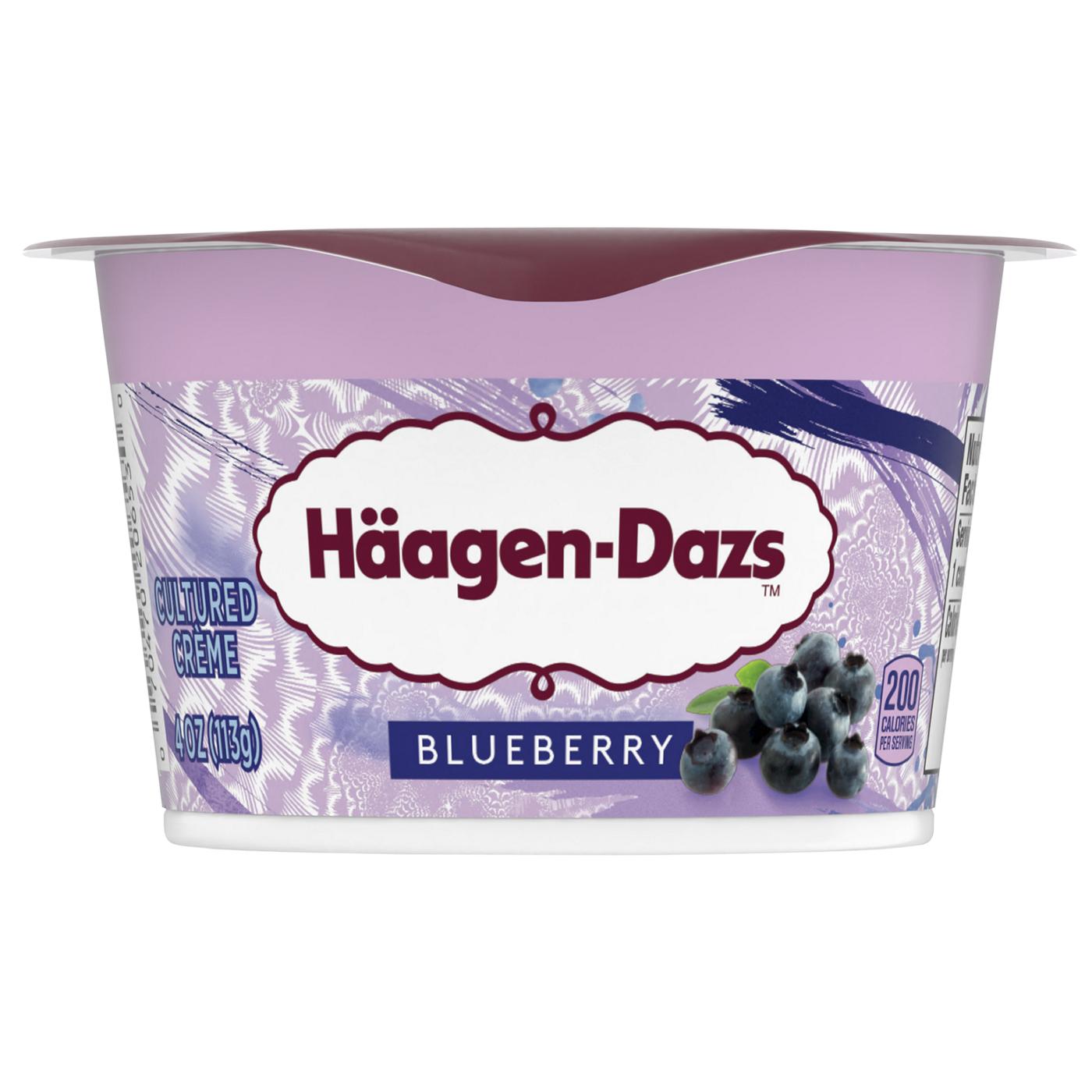 Haagen-Dazs Cultured Crème Yogurt Style Snack – Blueberry; image 1 of 4