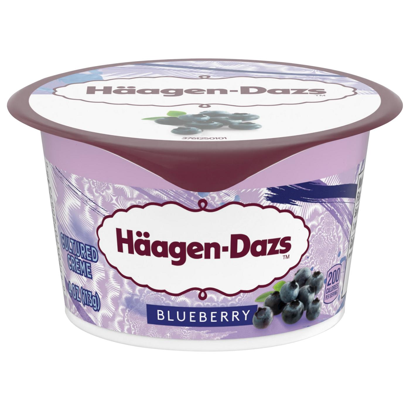 Haagen-Dazs Cultured Crème Yogurt Style Snack – Blueberry; image 4 of 4