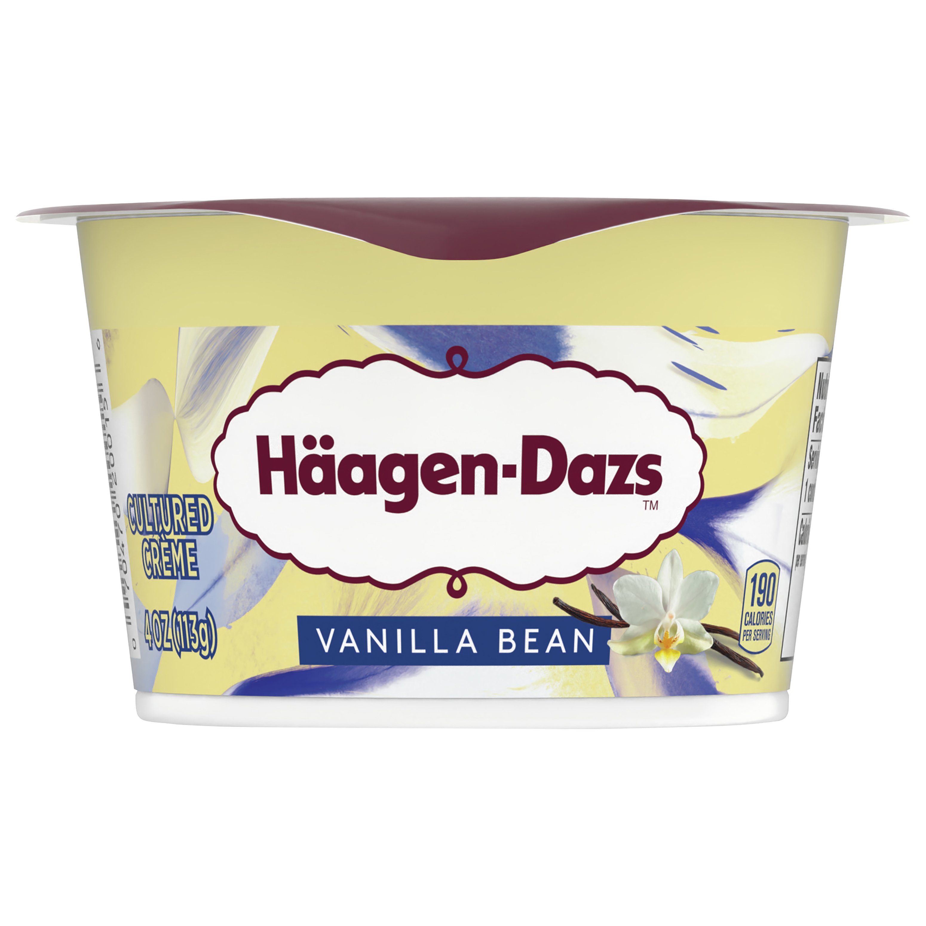 Häagen-Dazs Cultured Crème Yogurt Style Snack – Vanilla Bean, 4 oz