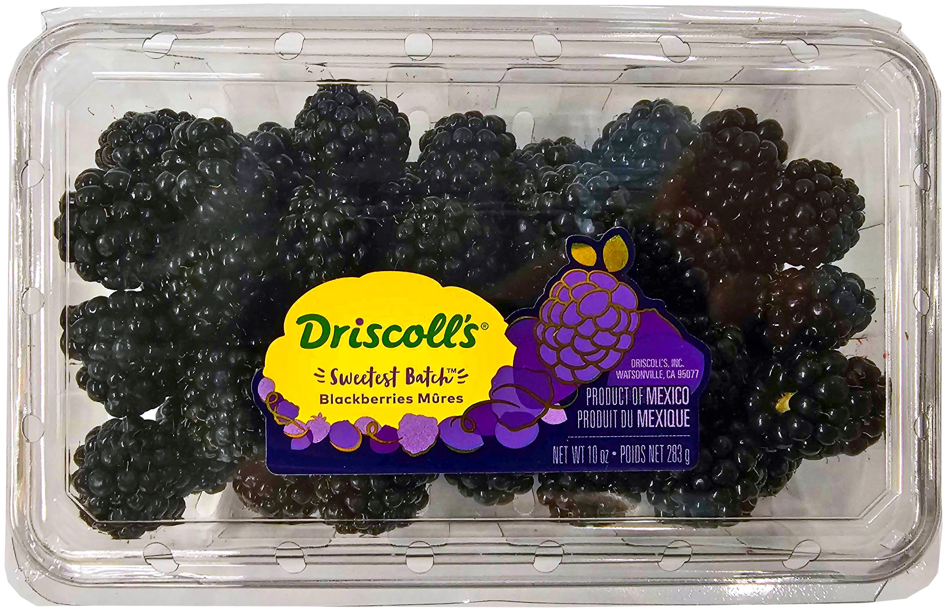 Driscoll's Sweetest Batch Blackberries Shop at HEB