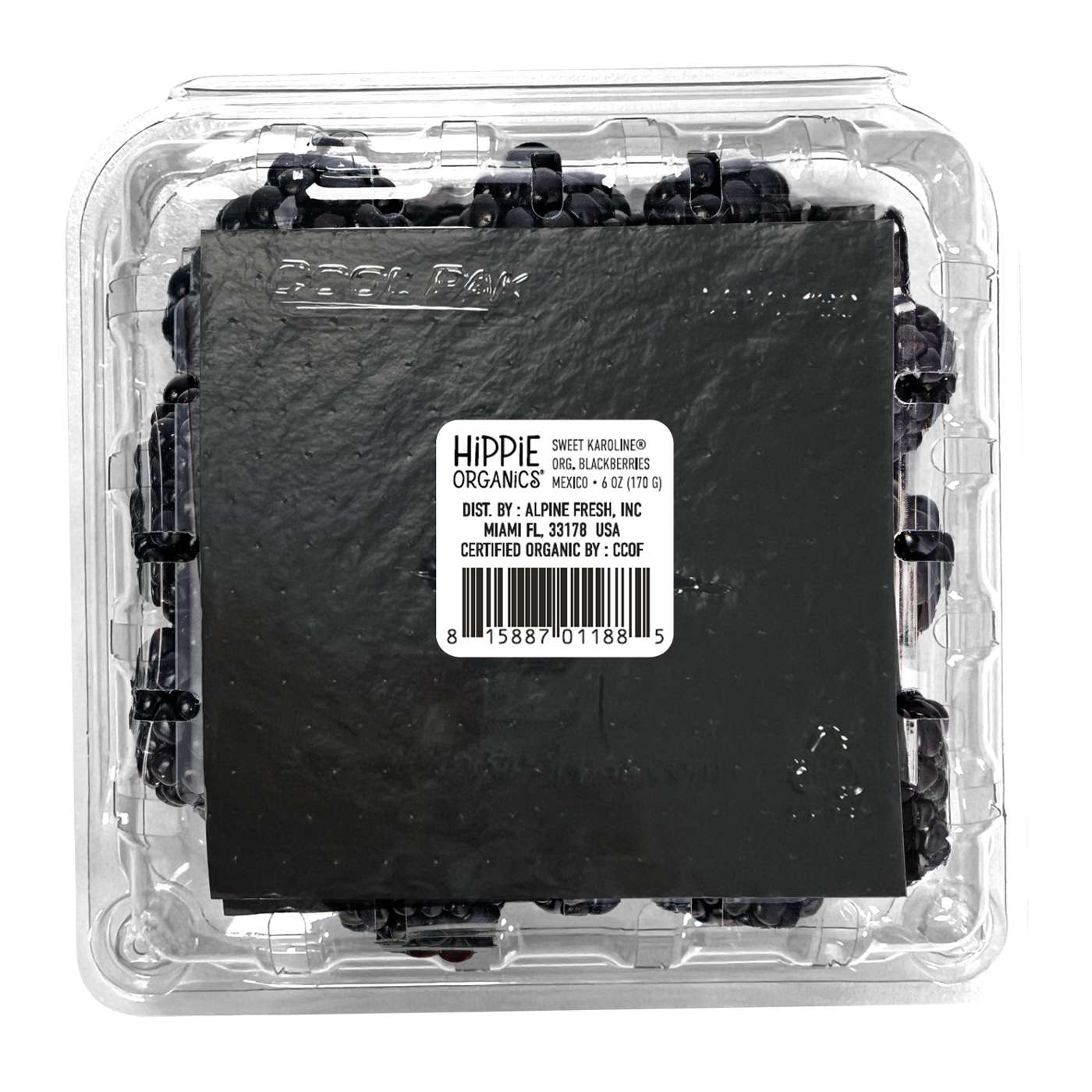 Fresh Sweet Karoline Organic Blackberries Shop Berries & cherries at