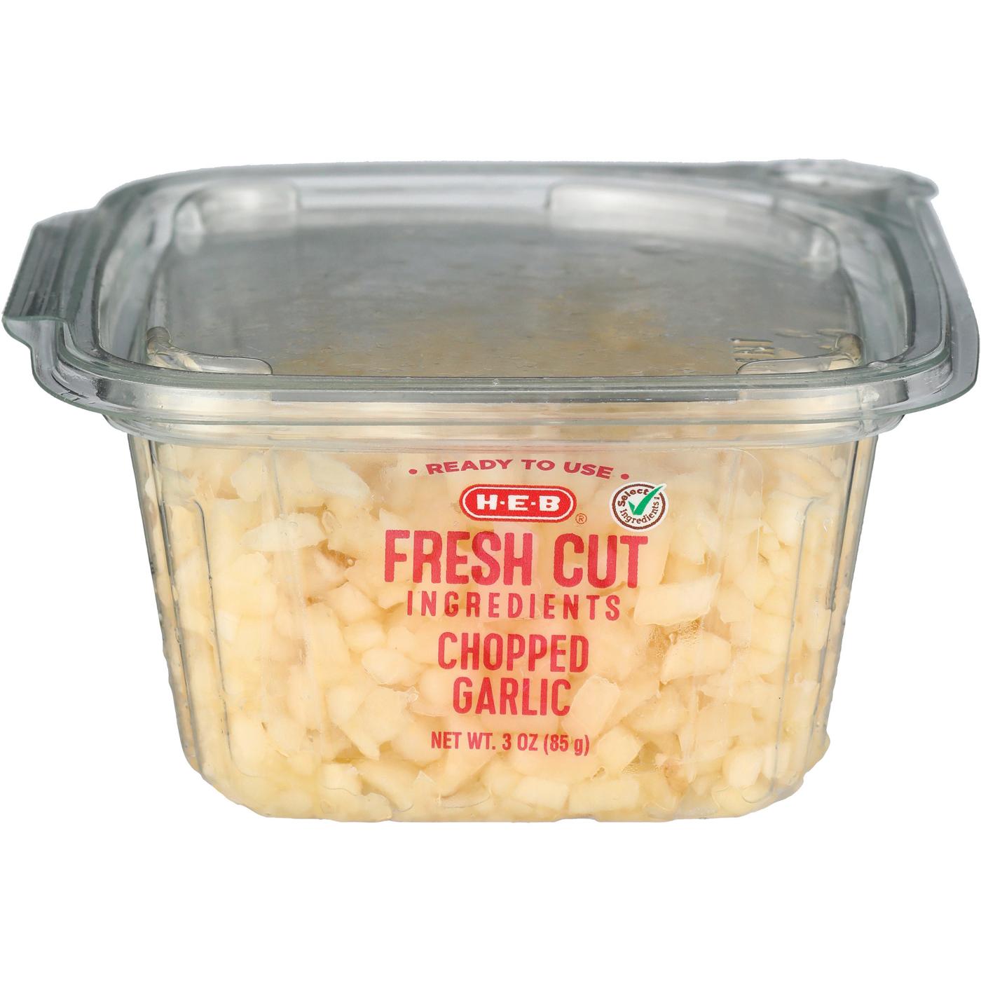 H-E-B Fresh Chopped Garlic - Single Serve; image 1 of 2