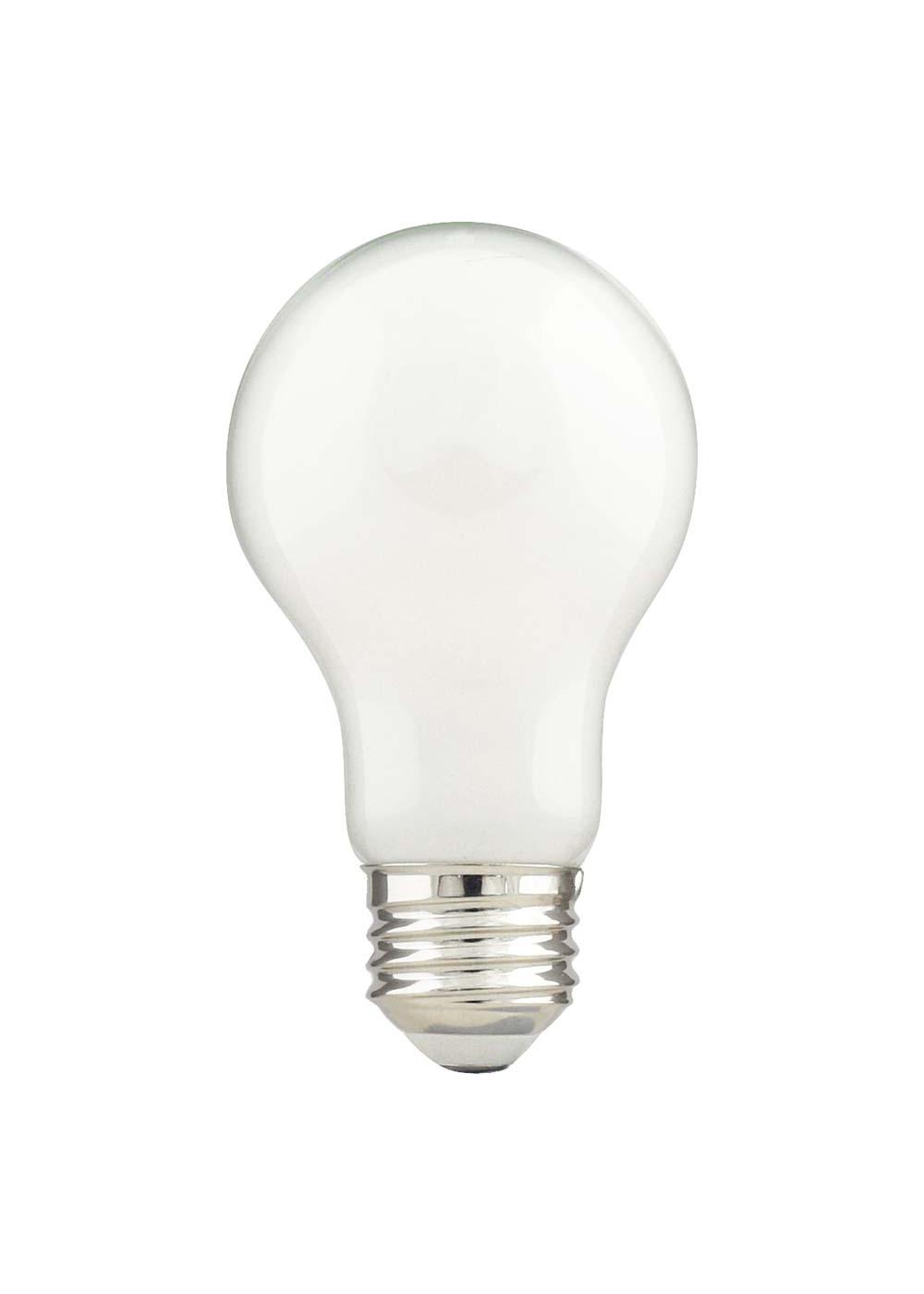 Green Watt A19 100-Watt Frosted LED Light Bulbs - Bright White; image 3 of 3