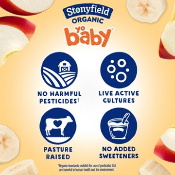 Stonyfield Organic YoBaby Whole Milk Yogurt 4 pk Pouches - Banana Apple & Oat 