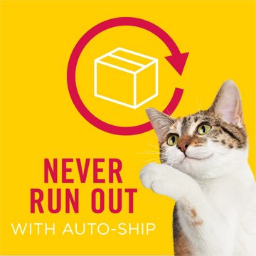 Friskies Purina Friskies Natural, Grain Free Senior Broth Wet Cat Food Lickable Cat Treats, Lil' Soups Skipjack Tuna