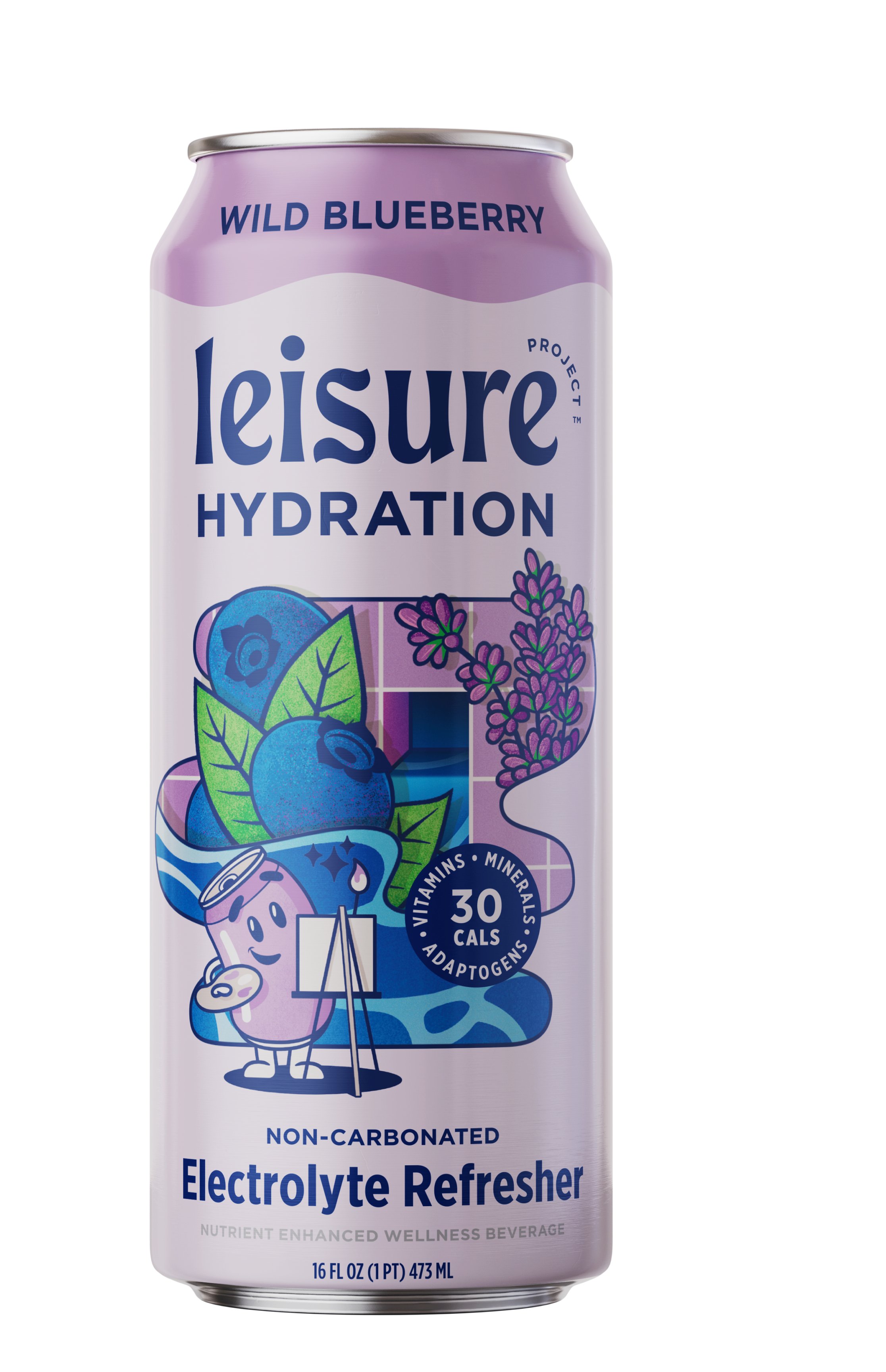 Leisure Project Wild Blueberry Hydration Refresher, 16 oz
