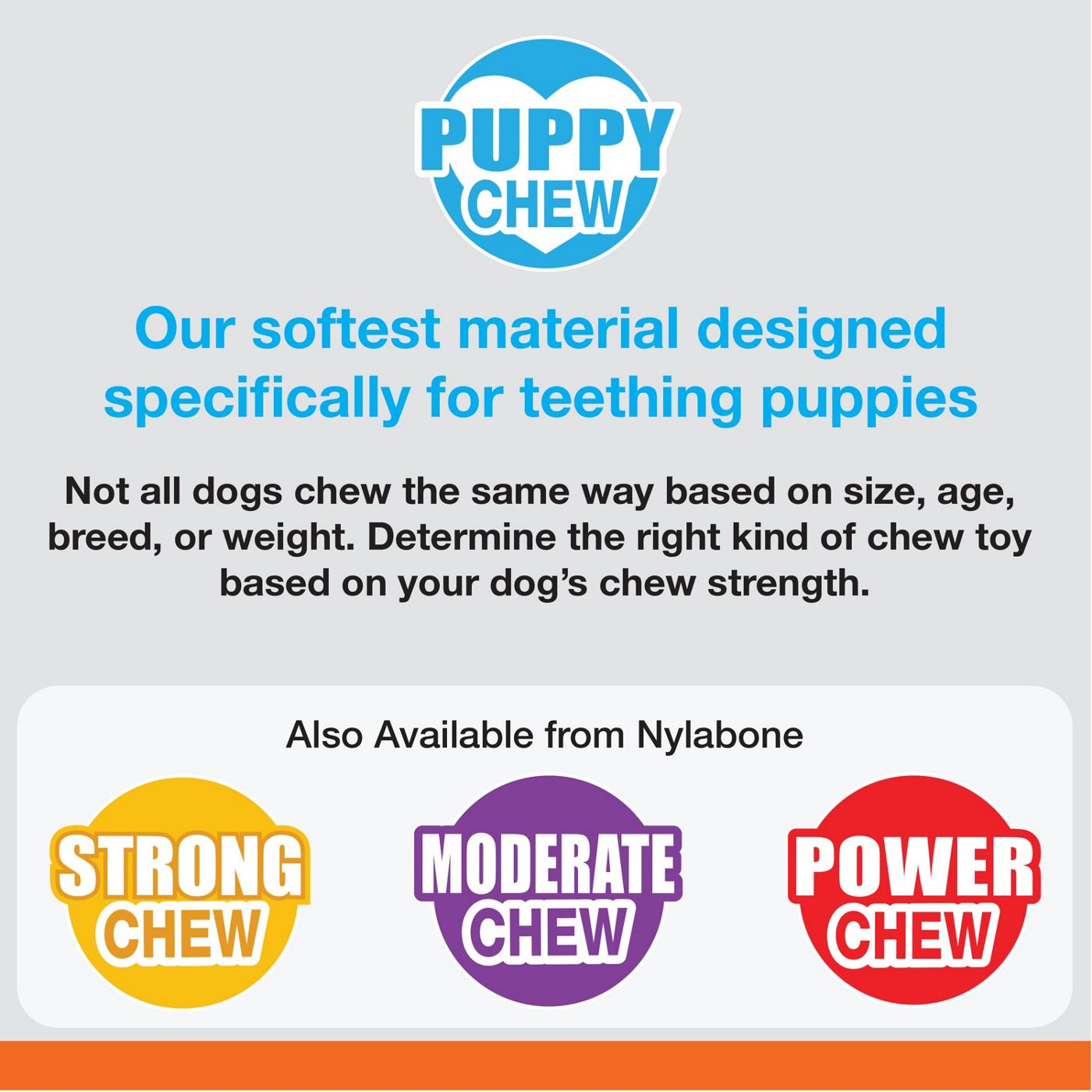 Nylabone Puppy Chew Teething & Soothing Pacifier Small Dog Toy; image 5 of 9