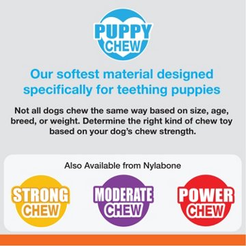 Nylabone Puppy Chew Teething & Soothing Pacifier Small Dog Toy