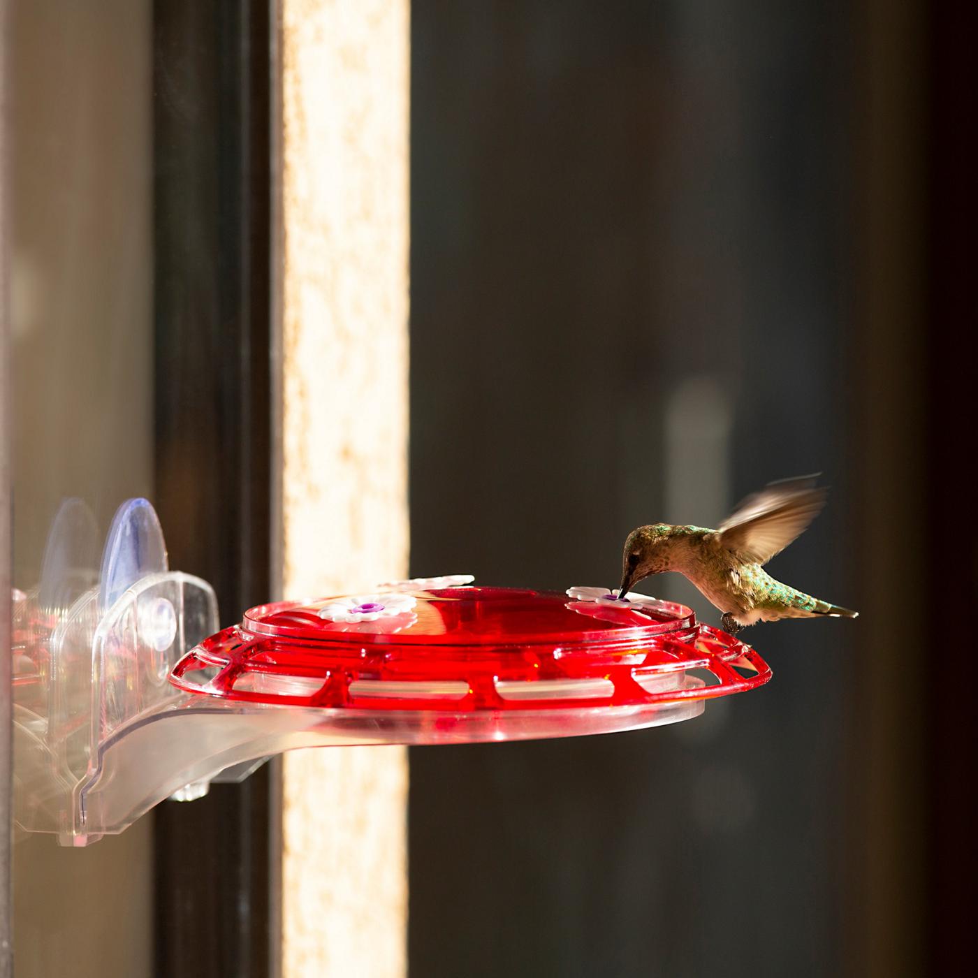 More Birds 3in1 Hummingbird Feeder; image 4 of 8