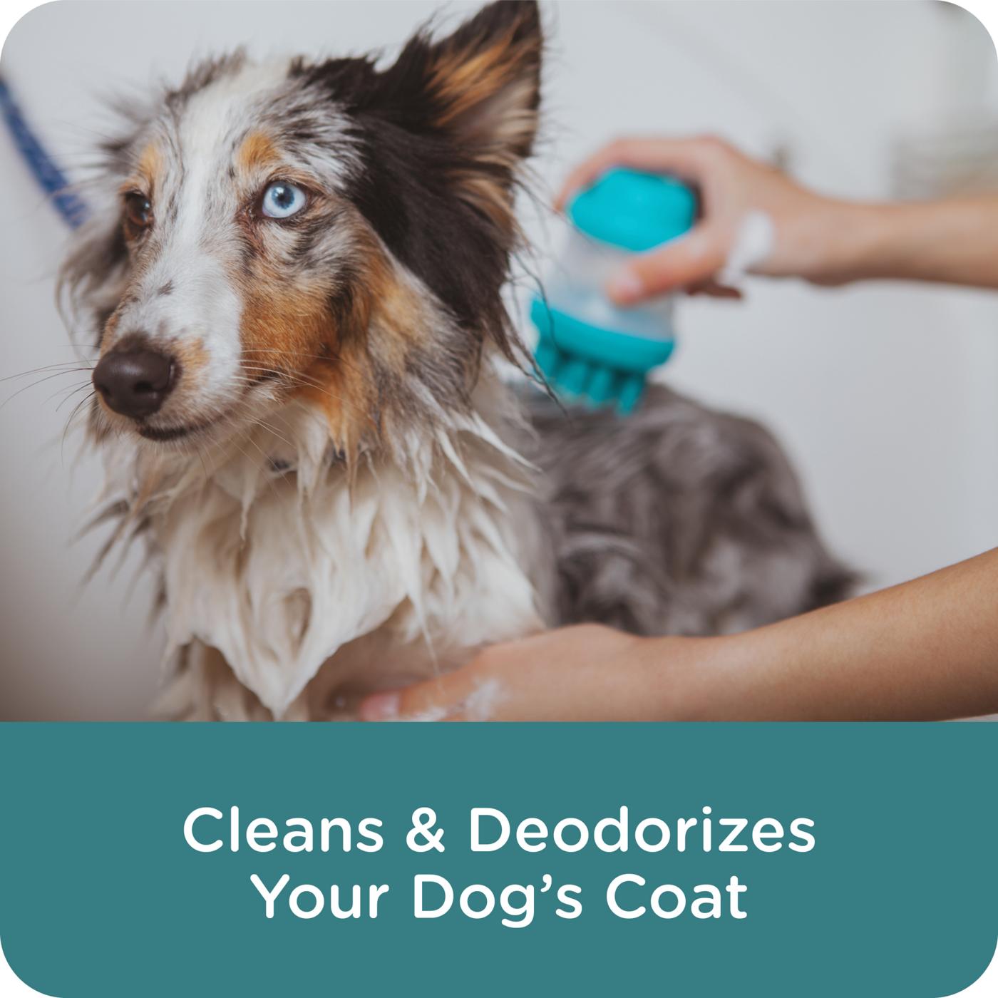 Sergeants Guardian Flea & Tick Dog Shampoo; image 3 of 6