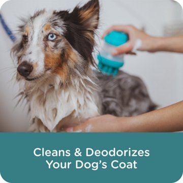 Sergeants Guardian Flea & Tick Dog Shampoo, 18 oz