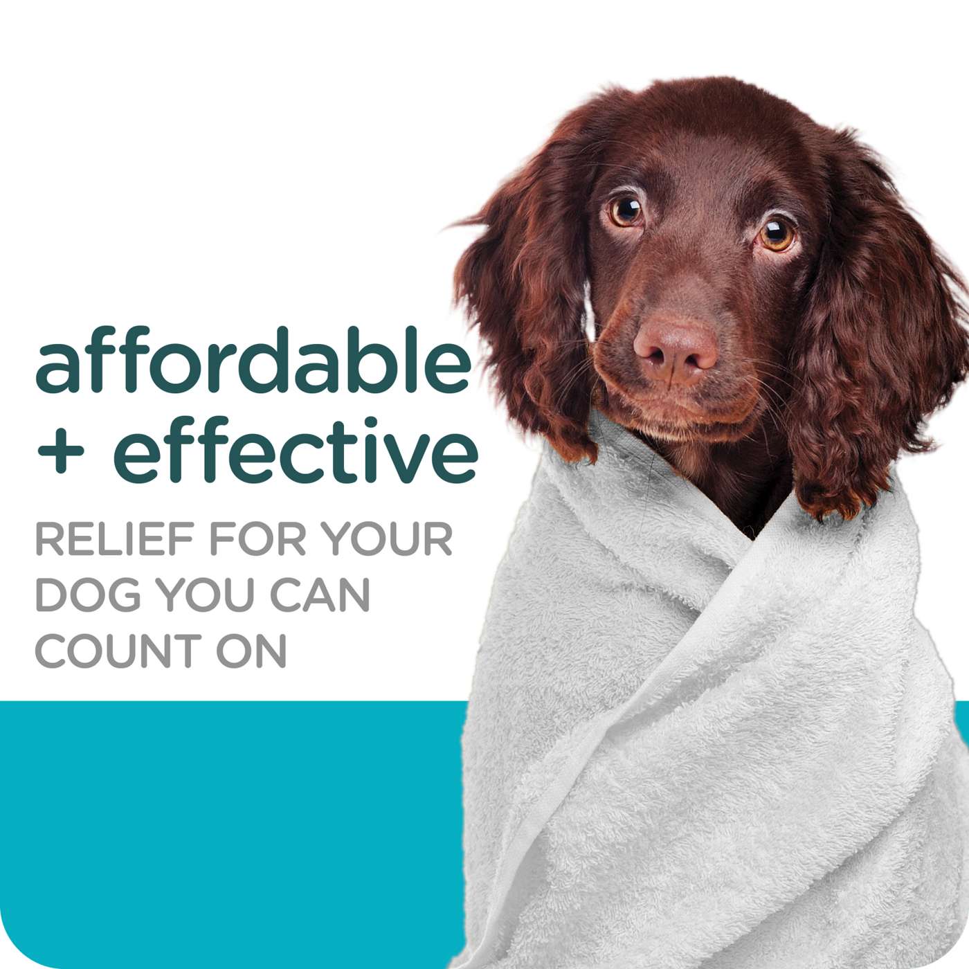 Sergeants Guardian Flea & Tick Dog Shampoo; image 6 of 6