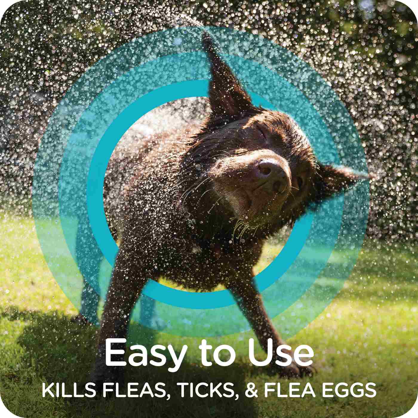 Sergeants Guardian Pro Flea & Tick Dog Shampoo Spring Freesia Scent; image 2 of 6