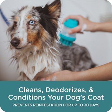 Sergeants Guardian Pro Flea & Tick Dog Shampoo Spring Freesia Scent, 18 oz