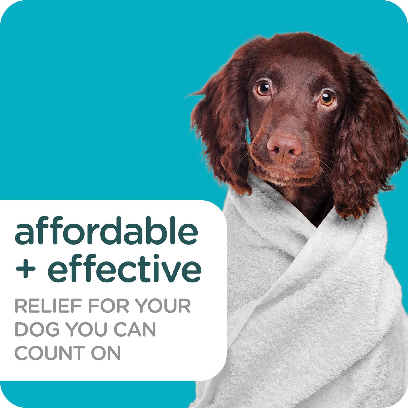 Sergeants Guardian Pro Flea & Tick Dog Shampoo Spring Freesia Scent; image 3 of 6