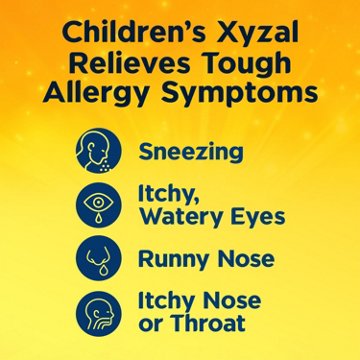 Xyzal Children's 24 Hour Allergy Relief Antihistamine Liquid - Grape