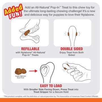 Nylabone Knuckle Bone Pop In Treat Small