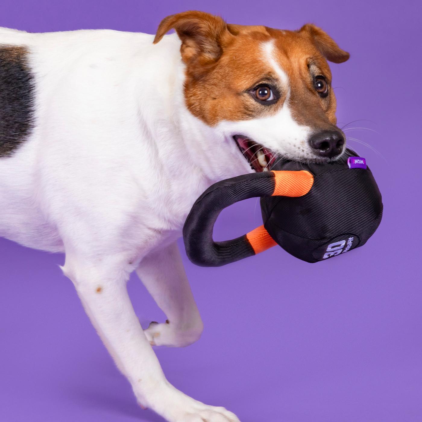 Woof & Whiskers Squeaky Dog Toy Kettlebell Shop Plush toys at HEB