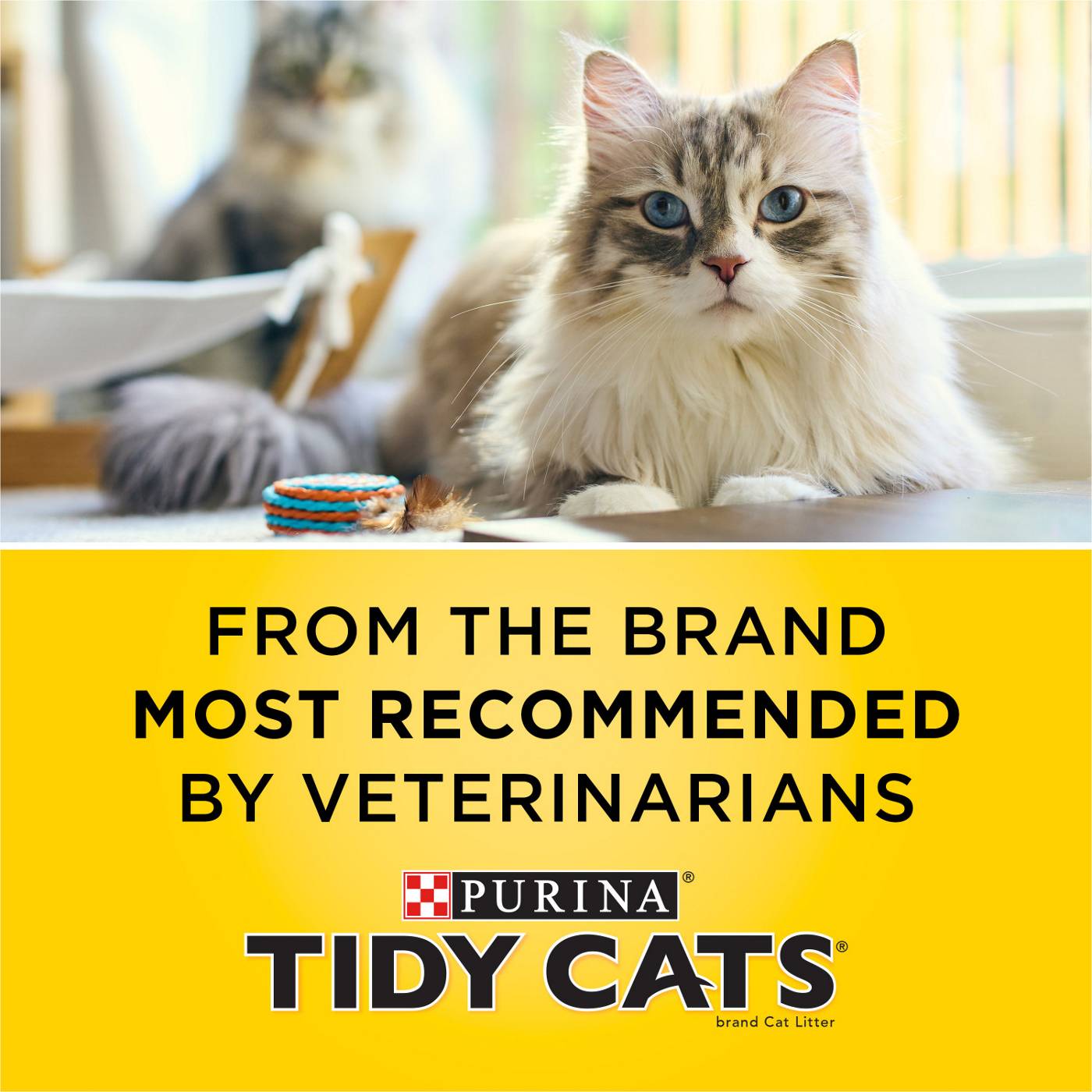 Purina Tidy Cats Tidy Care Alert Litter with Silica Crystals Shop