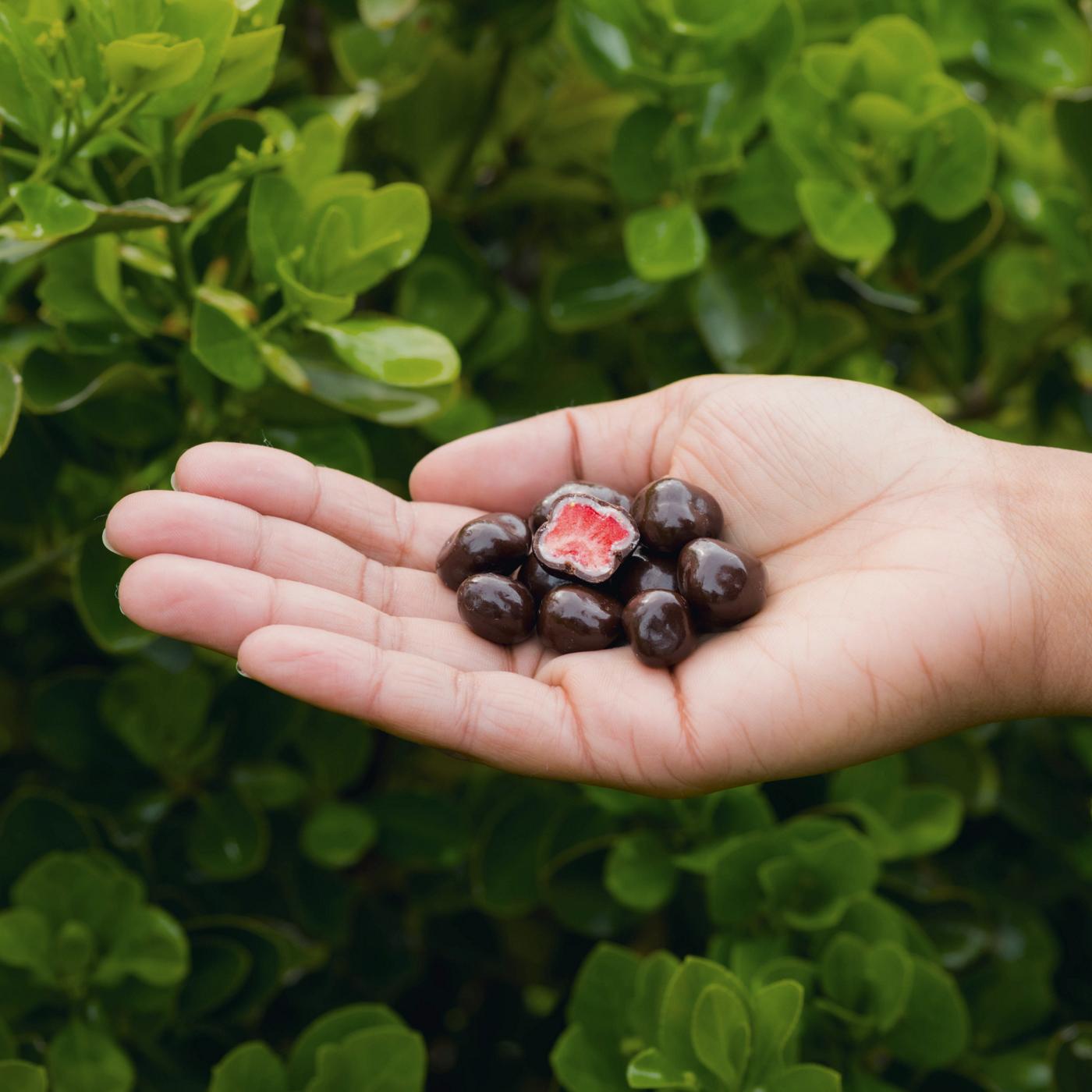 Tru Fru Freeze Dried Strawberries in Dark & White Chocolate; image 5 of 7