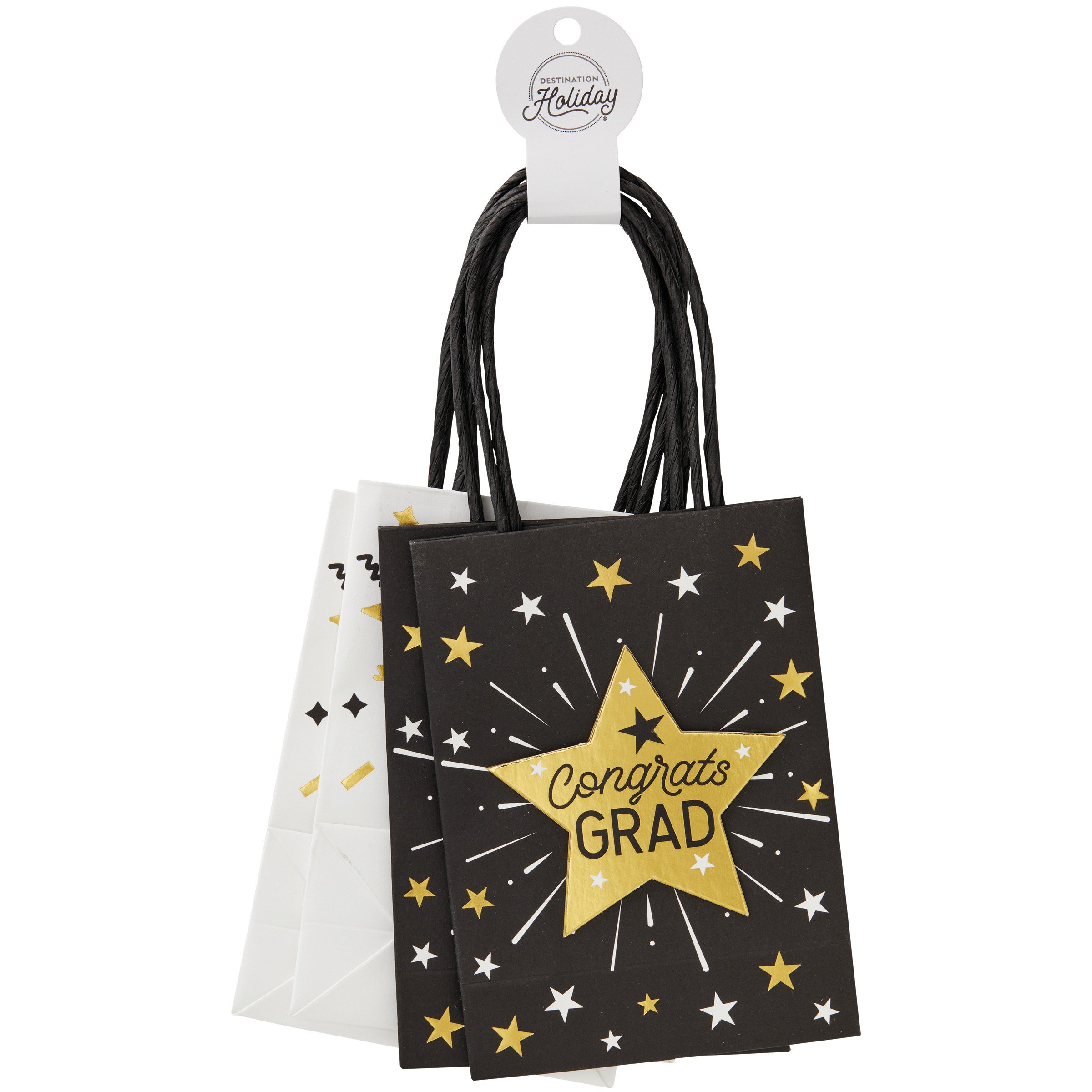 Destination Holiday Graduation Gift Bags - Small