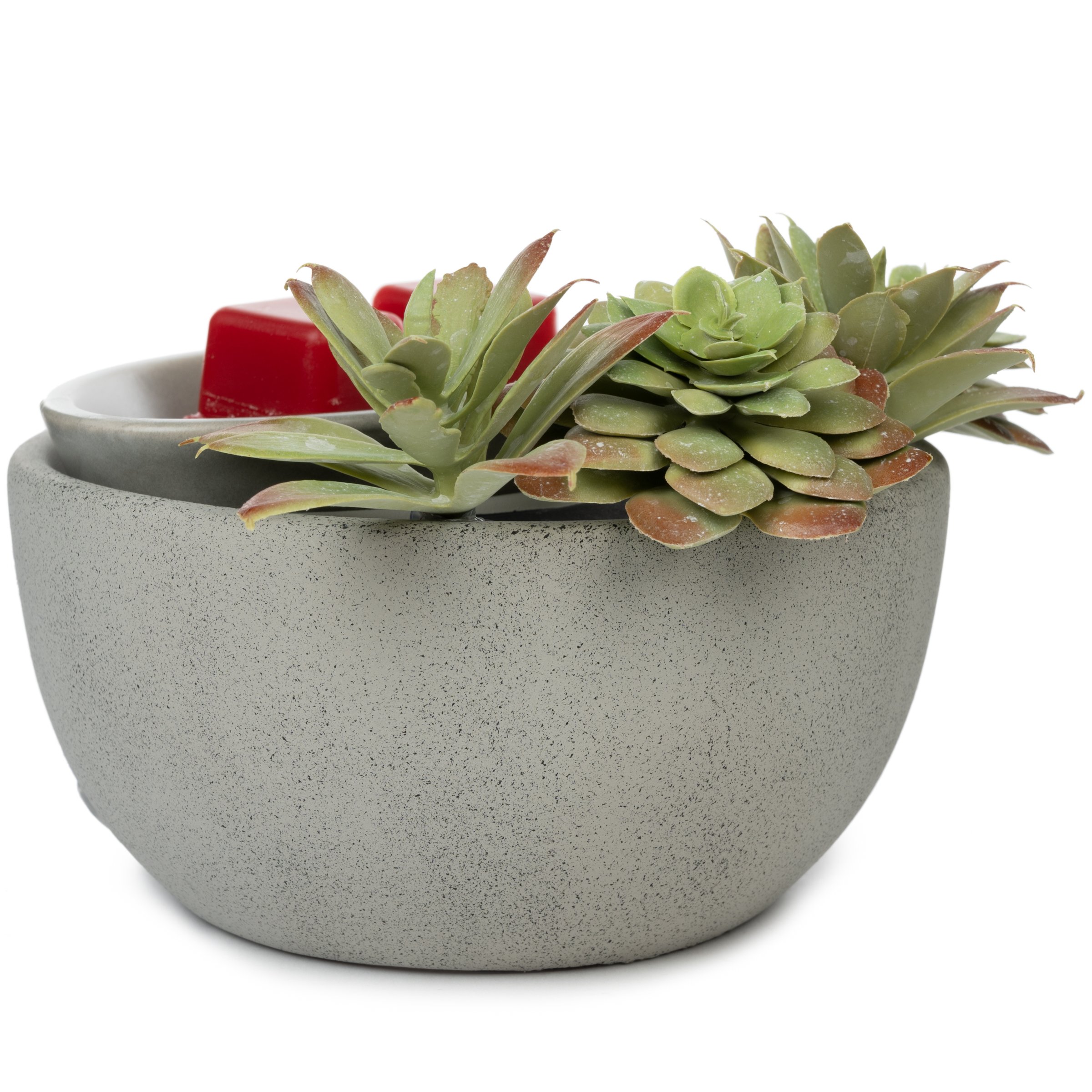 Fusion Succulent Bowl Hot Plate Wax Warmer Shop Diffusers at HEB