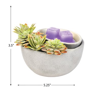Fusion Succulent Bowl Hot Plate Wax Warmer