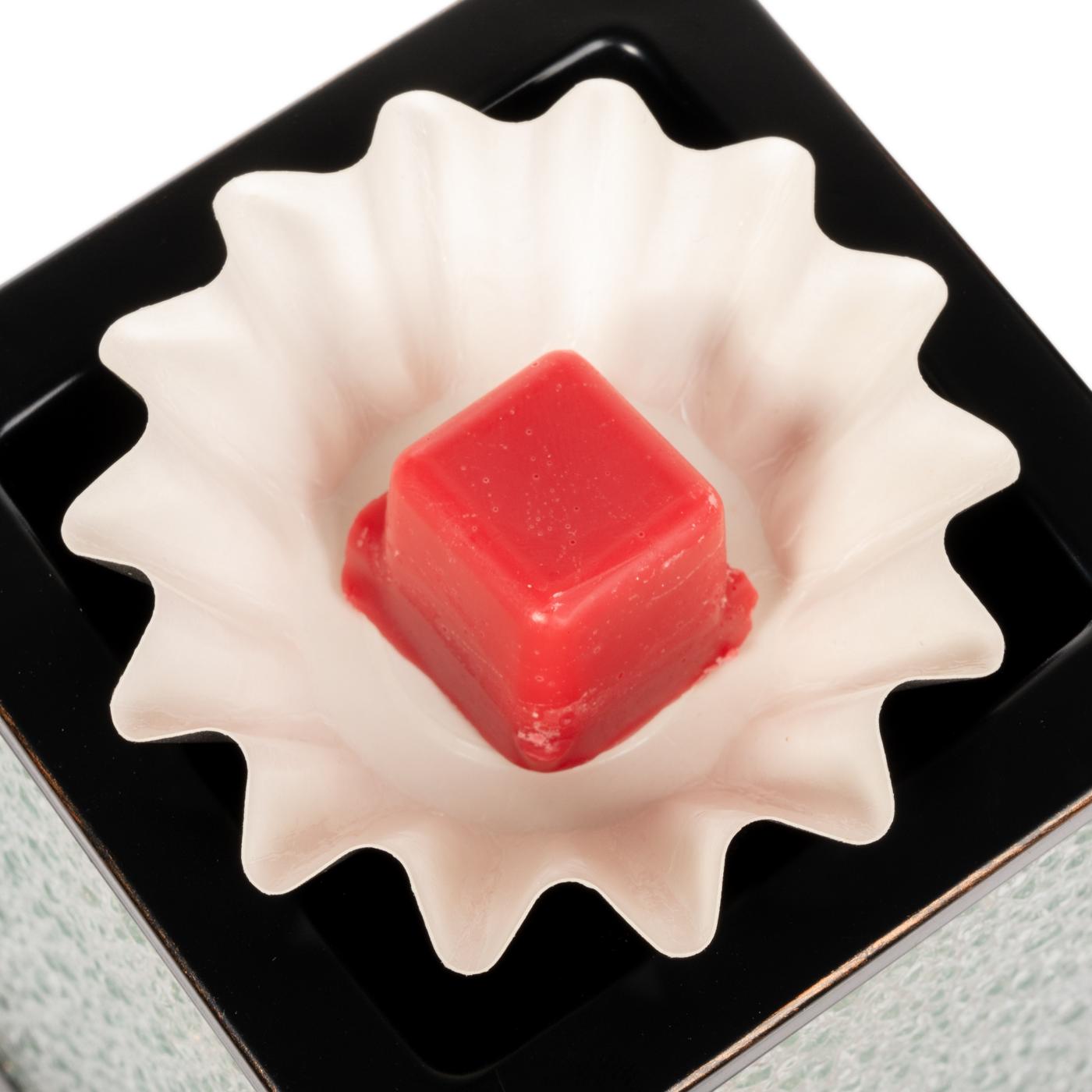 Fusion Wax Warmer Liners Shop Scented oils & wax at HEB