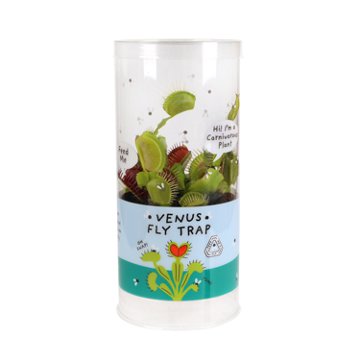 Max & Miles Venus Fly Trap