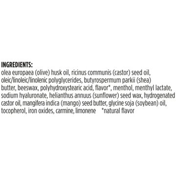 Burt's Bees Shea + Hyaluronic Acid Plumping Lip Serum - Rose