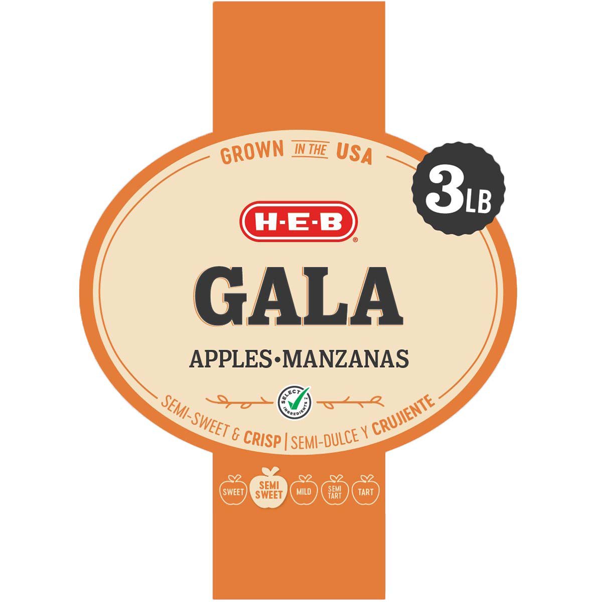 H-E-B Fresh Gala Apples - Shop Apples At H-E-B