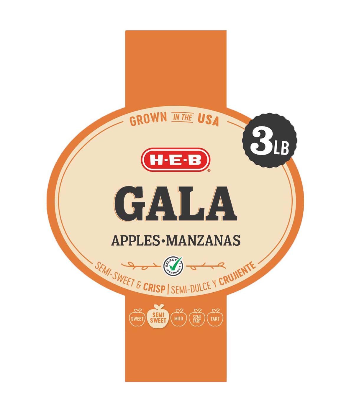H-E-B Fresh Gala Apples; image 2 of 2