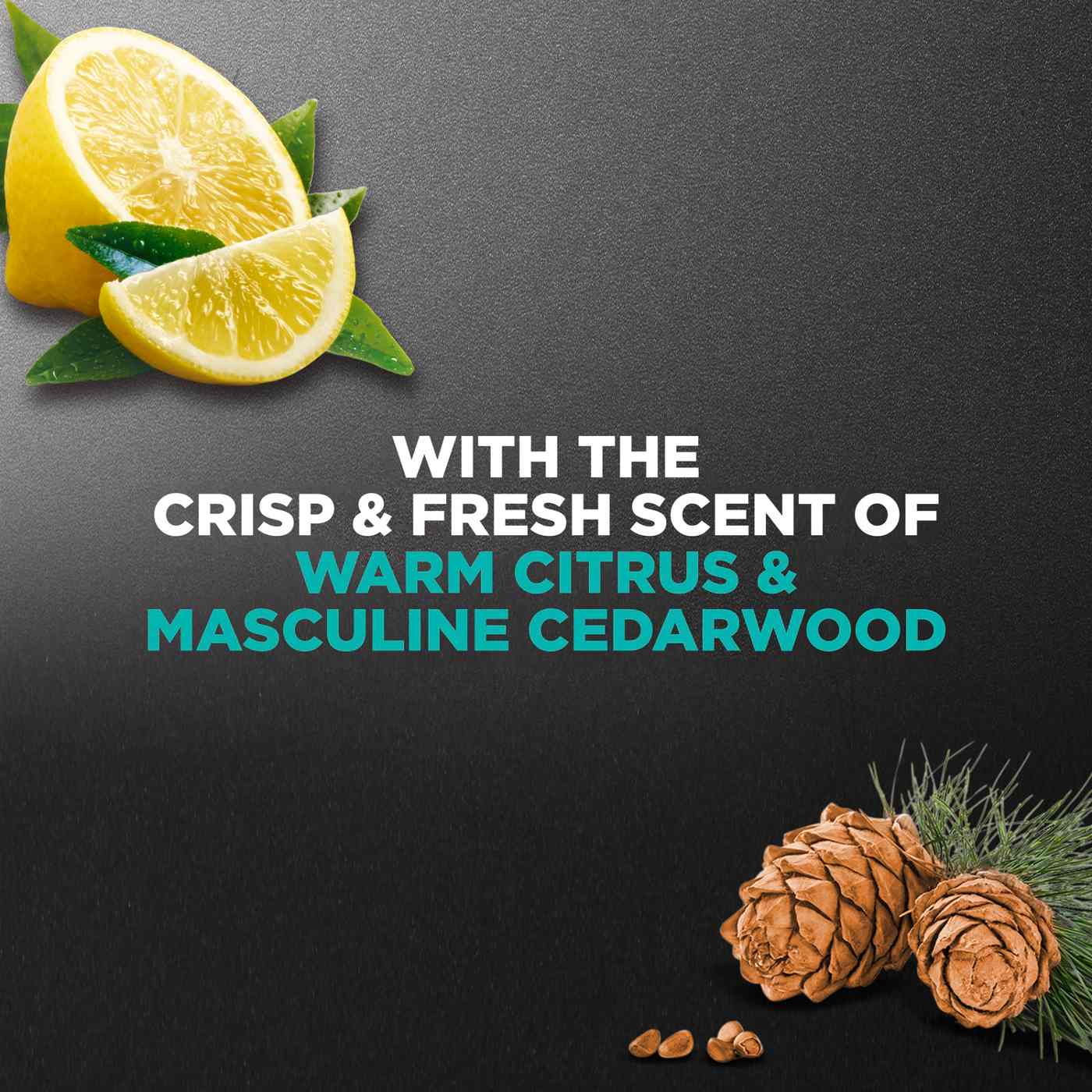 Dove Care Exfoliating  Body Wash - Sea Salt & Citrus; image 2 of 6