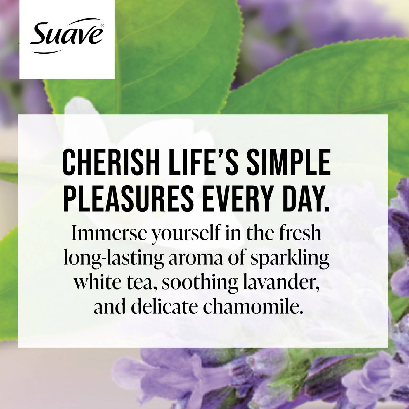 Suave Essentials Gentle Body Wash - White Tea & Lavender; image 5 of 5