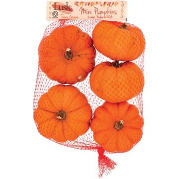 Fresh Mini Pumpkins, 5 ct