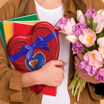 Dove Dark Chocolate Truffle Hearts Valentine's Gift Tin