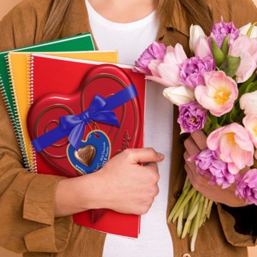 Dove Milk Chocolate Truffle Hearts Valentine's Gift Tin